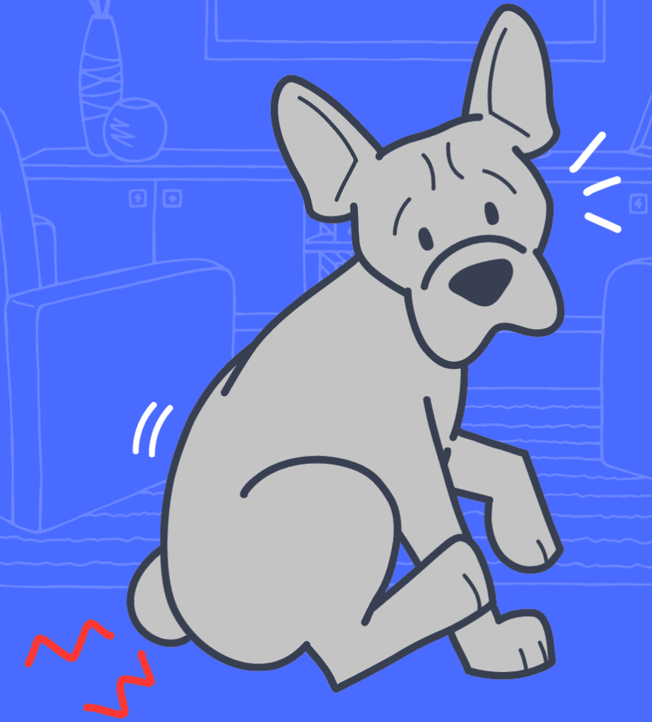Blog how to express dog anal glands hero 01