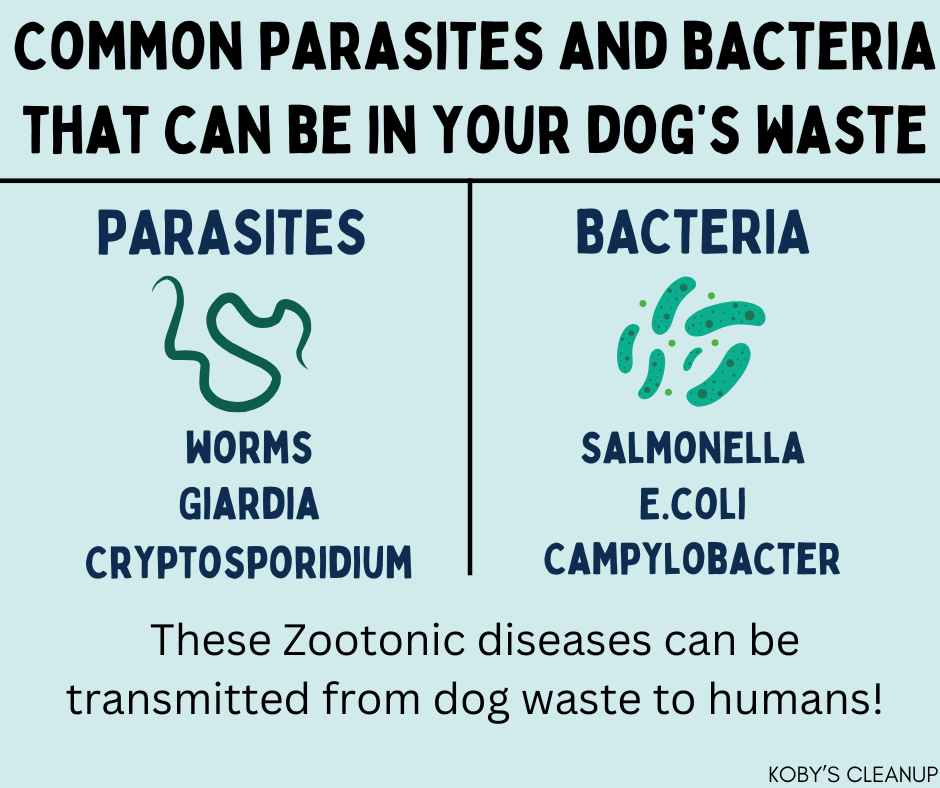 Did you know (1)